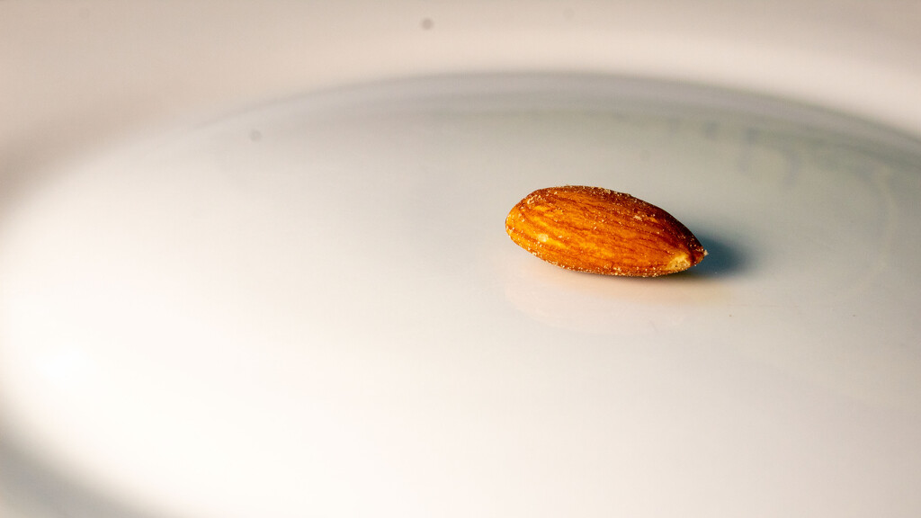 Almond by tdaug80