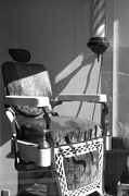 8th Oct 2021 - Barber's Chair#2