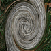 Bark pattern with twril by larrysphotos