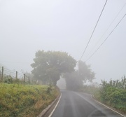 9th Oct 2021 - Foggy Morning