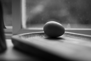 9th Oct 2021 - Egg by the window (J.Sudek inspired)