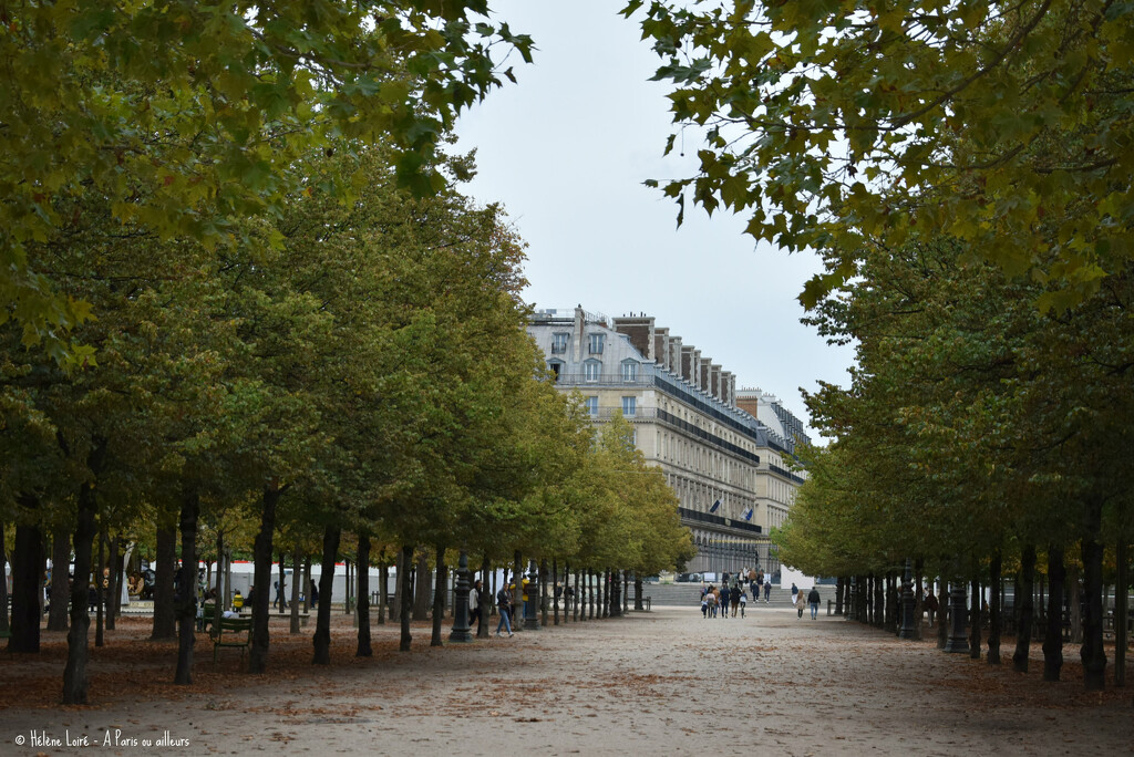 Tuileries  by parisouailleurs