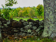 8th Oct 2021 - Stone wall