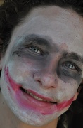 18th Jan 2011 - The Joker