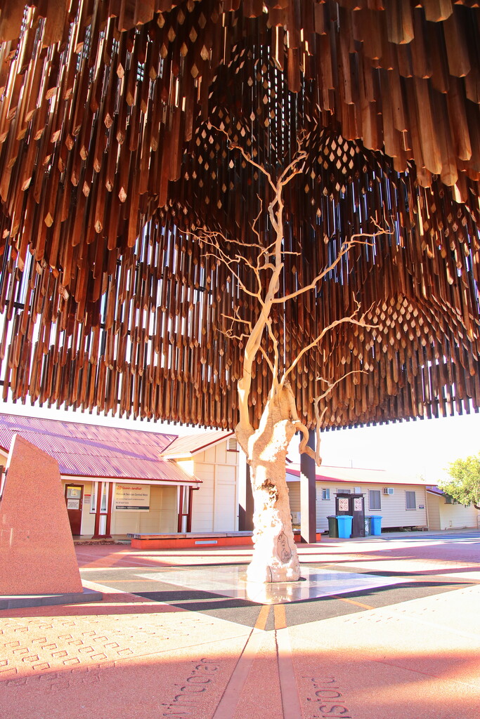 Tree of Knowledge - Barcaldine by terryliv