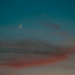 Moon Sliver by judyc57