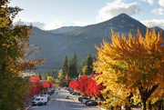 7th Oct 2021 - Rossland in Fall