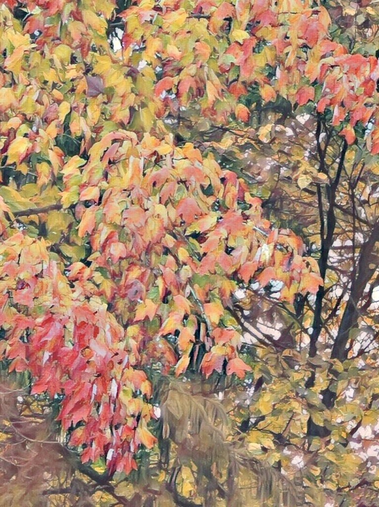 autumn by amyk