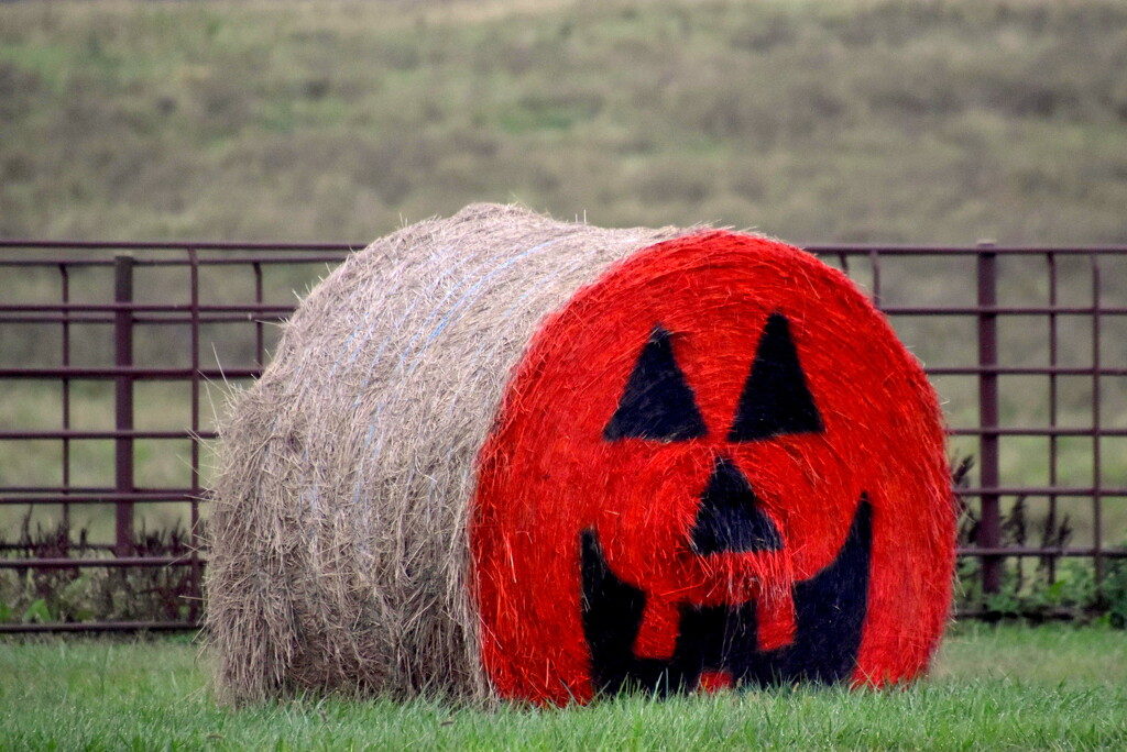 Halloween Hay Bale by genealogygenie