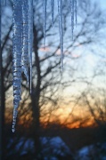 13th Jan 2011 - Icy Sunset