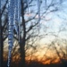 Icy Sunset by glennharper