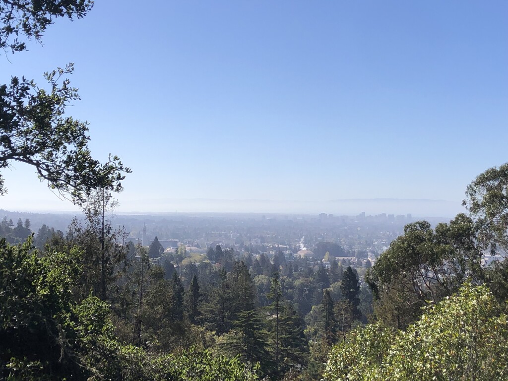 Berkeley View by krissers
