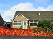 11th Oct 2021 - Bungalow with a Virginia Creeper Wall.
