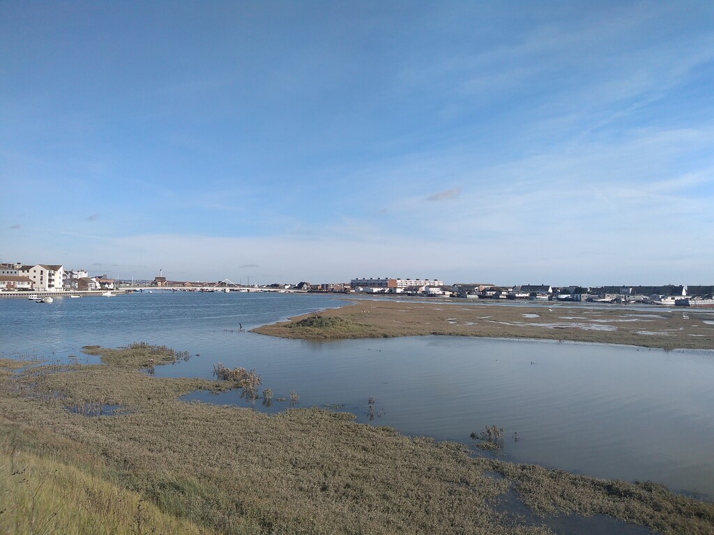 Another View of the River Adur by moirab