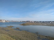 11th Oct 2021 - Another View of the River Adur