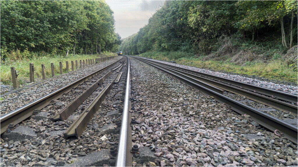 Railway Tracks by pcoulson