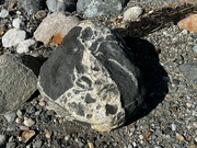11th Oct 2021 - A stone along the shore