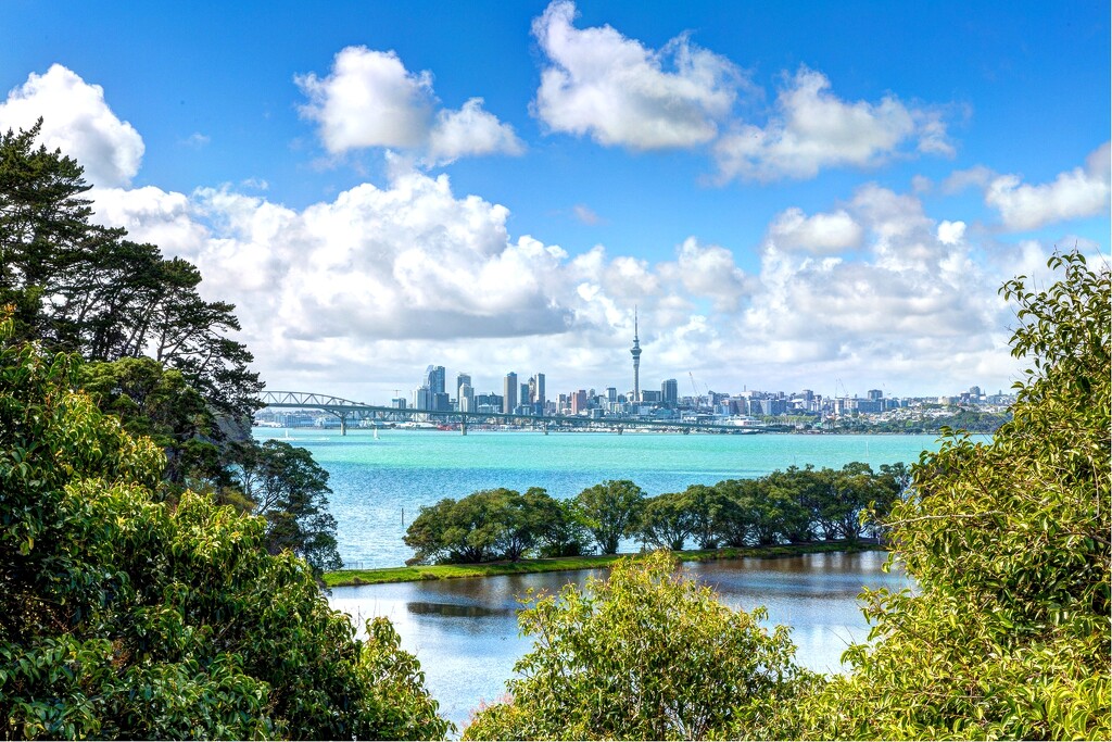 View of Auckland from Heritage Park  by creative_shots