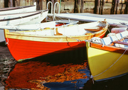 12th Oct 2021 - Row Boats