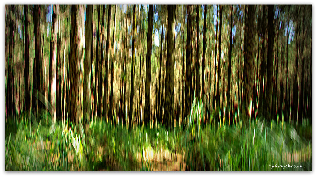 Forestry ICM by julzmaioro