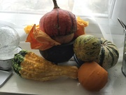 12th Oct 2021 - Gourds
