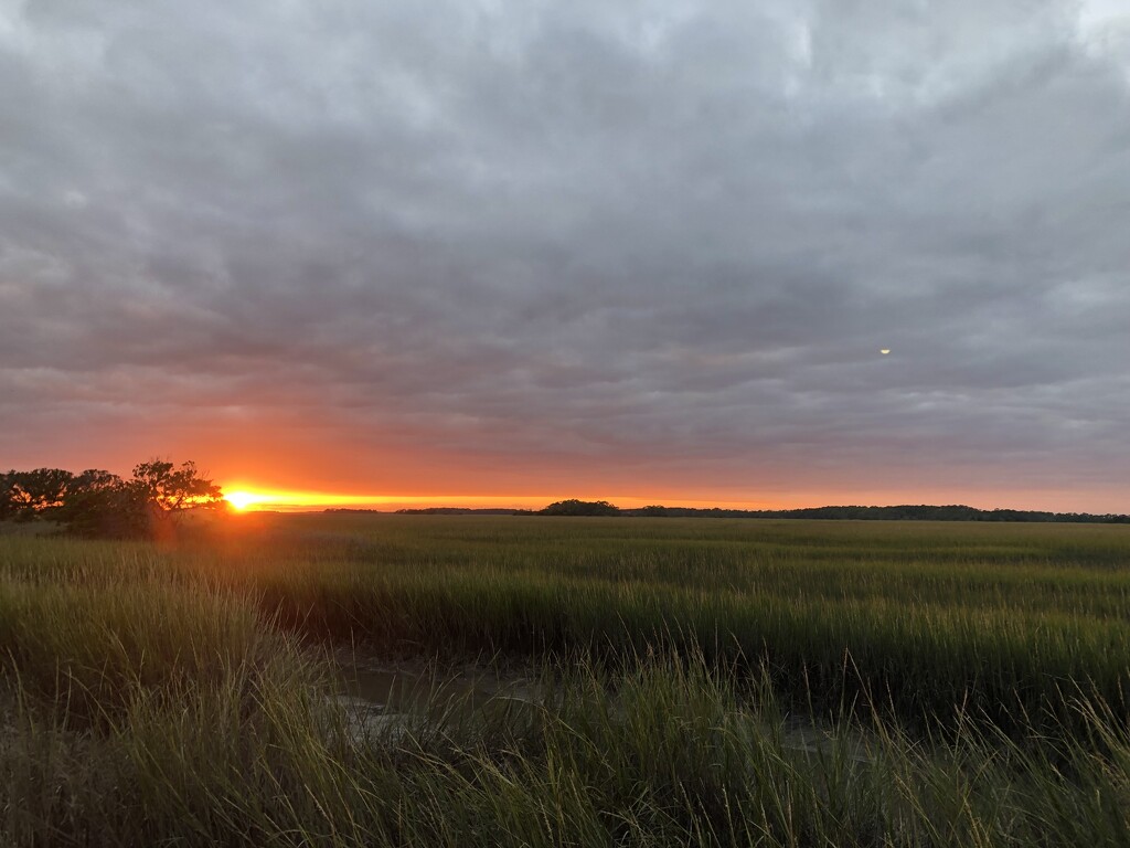 The sun dips below the marsh by congaree