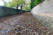 12th Oct 2021 - Autumn Or Fall