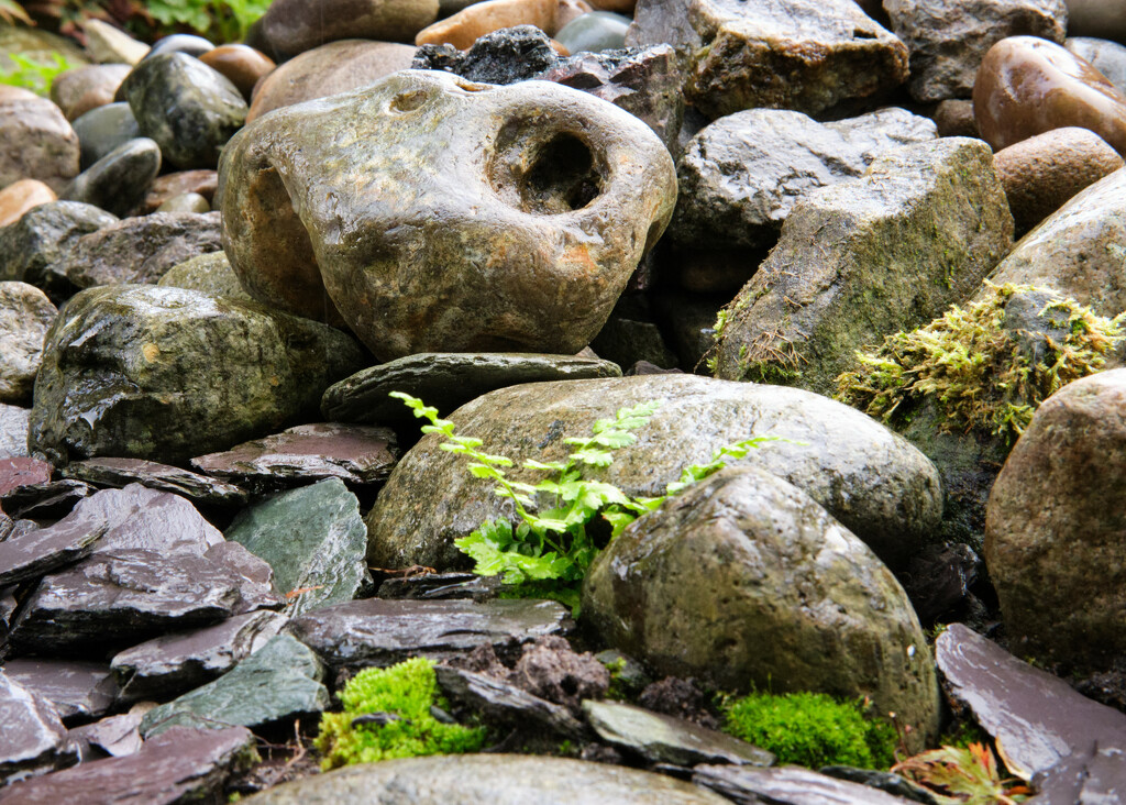 Rocks by kametty