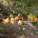 Autumn by kametty