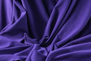 10th Sep 2021 - Purple
