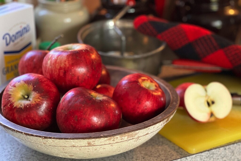 Great Gramp's apples to applesauce by berelaxed