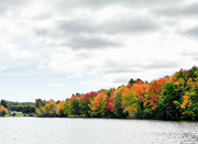 11th Oct 2021 - Autumn comes to Estes Lake