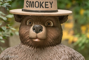 12th Oct 2021 - Only You Can Prevent Forest Fire 