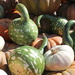 Gourds and pumpkins by jb030958