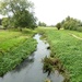 The River Foss by fishers