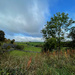 Autumn in the Derbyshire Dales by 365projectmaxine