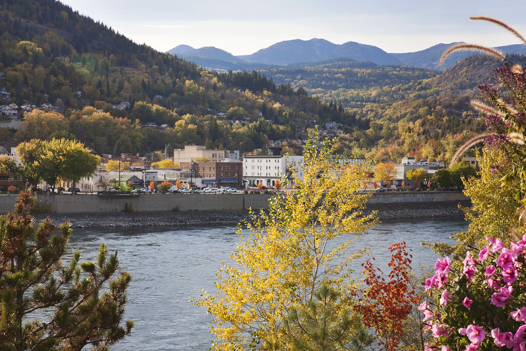 Fall colours by the Columbia River by kiwichick