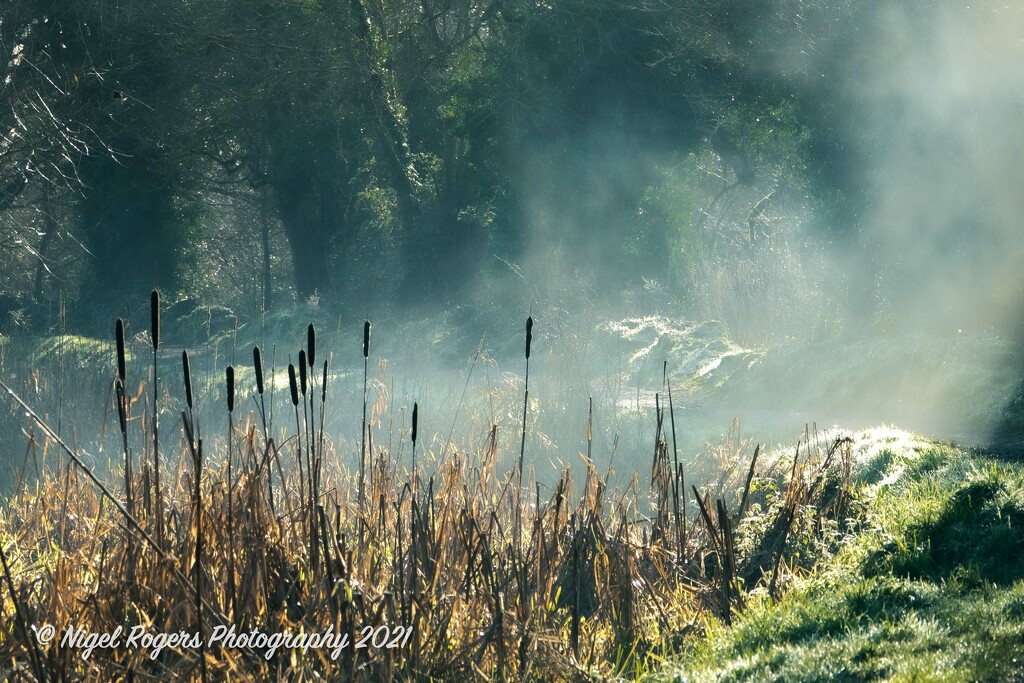 misty morning by nigelrogers
