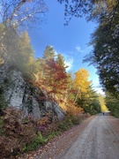 13th Oct 2021 - A Road of Fall Colours