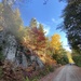 A Road of Fall Colours by radiogirl