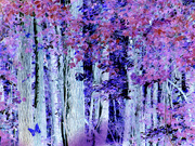 14th Oct 2021 - Welcome to the purple woods...