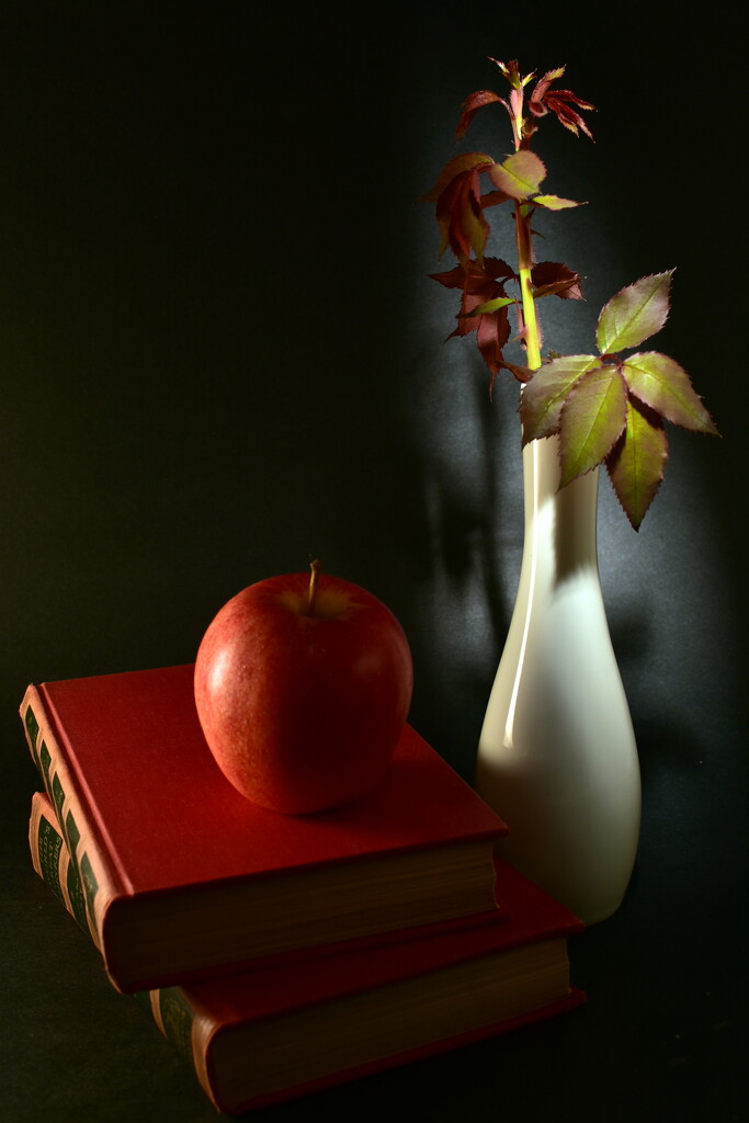 Still Life Therapy by jayberg