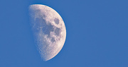 13th Oct 2021 - Moon Shot Before Sunset!