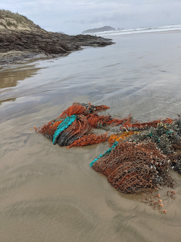 Ninety Mile Beach finds by sandradavies
