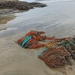 Ninety Mile Beach finds by sandradavies