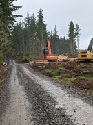 7th Oct 2021 - Machinery working in Waitangi Forest