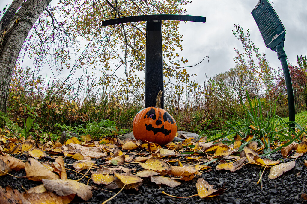 October Words - Jack-O-Lantern by farmreporter