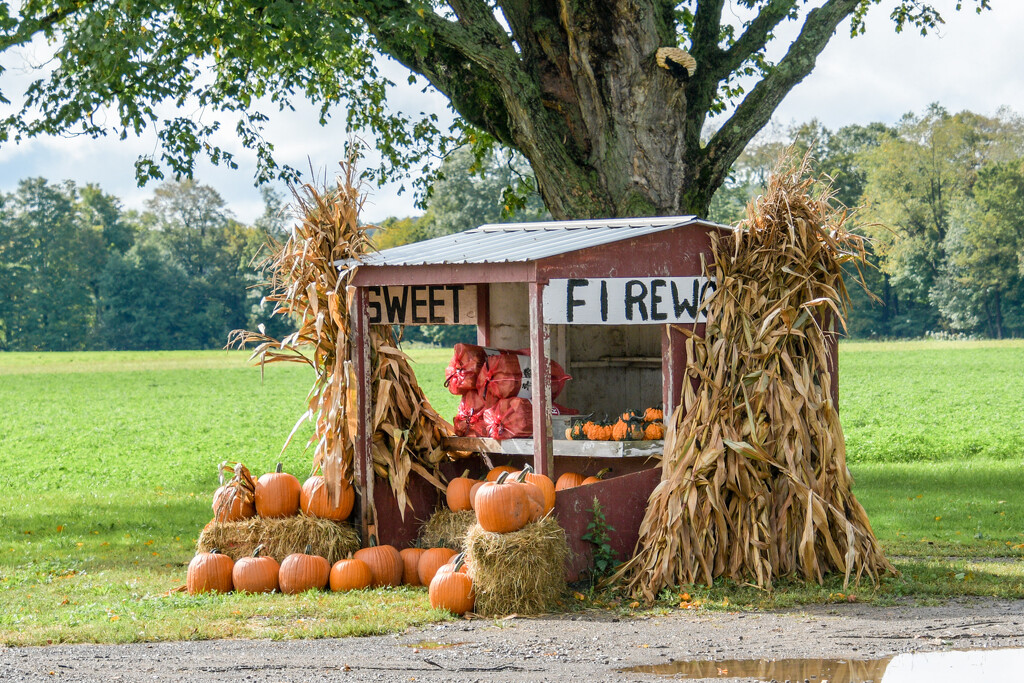 Farmstand by danette