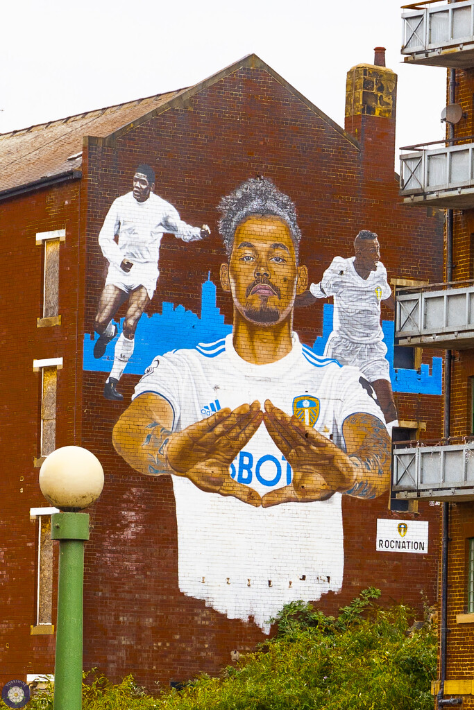 Street Art - Leeds United by lumpiniman