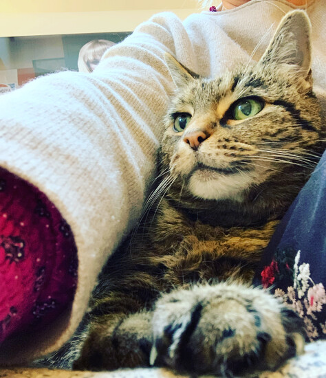 Cosy by judithg